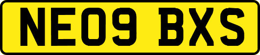 NE09BXS