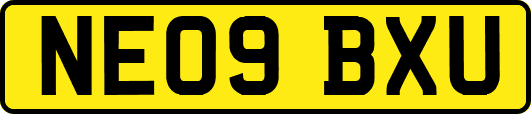 NE09BXU