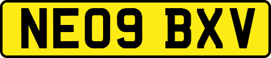 NE09BXV