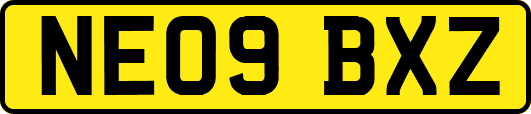 NE09BXZ