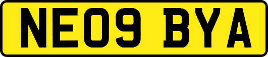 NE09BYA