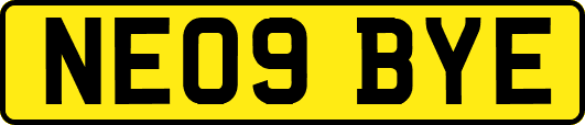 NE09BYE