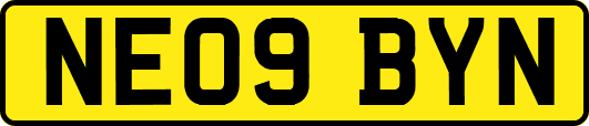 NE09BYN