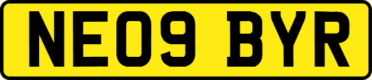 NE09BYR