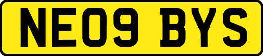 NE09BYS