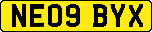 NE09BYX