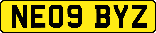 NE09BYZ