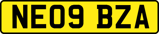 NE09BZA