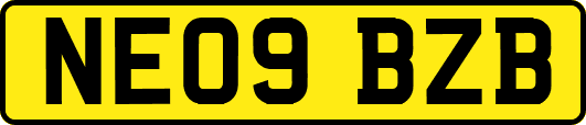 NE09BZB