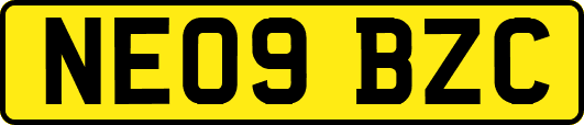 NE09BZC