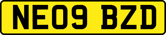 NE09BZD