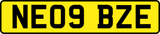NE09BZE