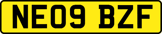 NE09BZF