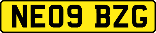 NE09BZG