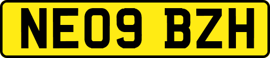 NE09BZH