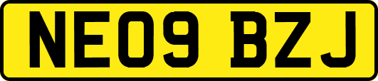 NE09BZJ