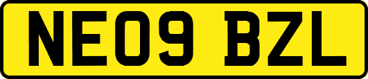 NE09BZL