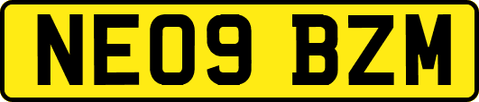 NE09BZM