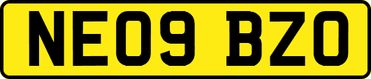 NE09BZO