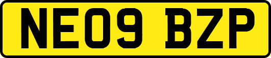 NE09BZP