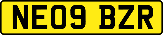NE09BZR