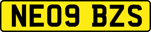 NE09BZS