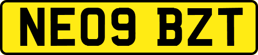 NE09BZT