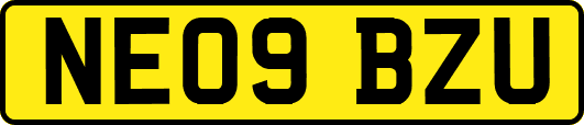 NE09BZU