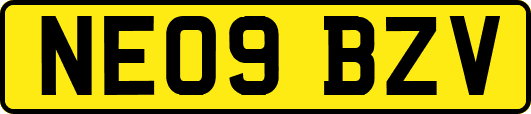 NE09BZV