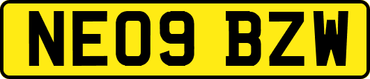 NE09BZW