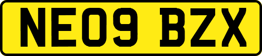 NE09BZX