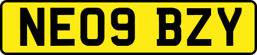NE09BZY