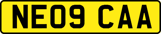NE09CAA