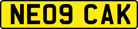 NE09CAK