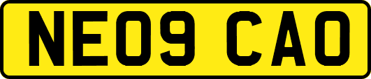 NE09CAO
