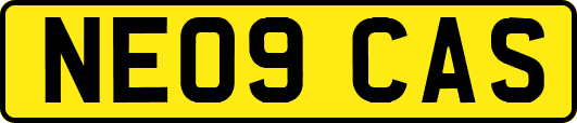 NE09CAS