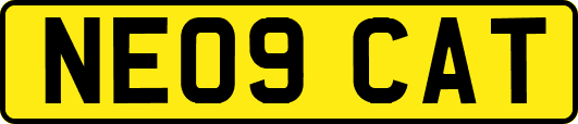 NE09CAT