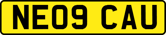 NE09CAU