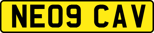 NE09CAV