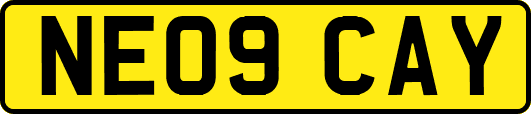 NE09CAY