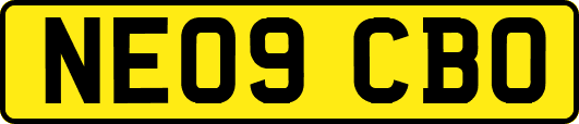 NE09CBO