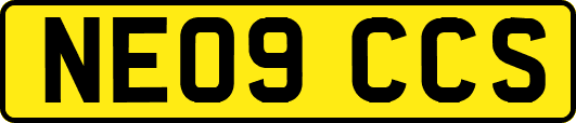 NE09CCS