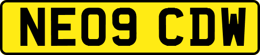NE09CDW