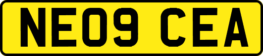 NE09CEA