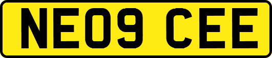 NE09CEE