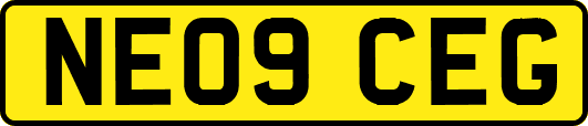 NE09CEG