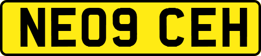 NE09CEH