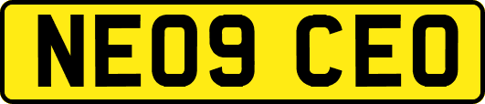 NE09CEO