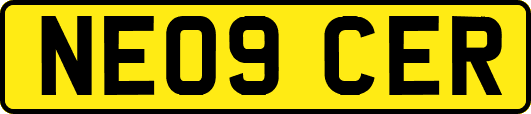 NE09CER