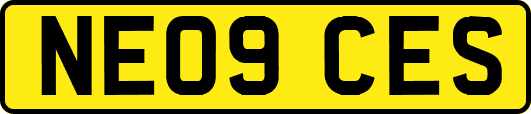 NE09CES